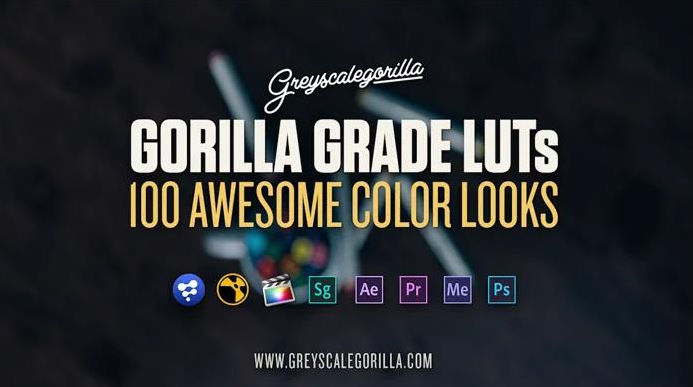 Greyscalegorilla – Gorilla Grade LUTs LUT-A1164